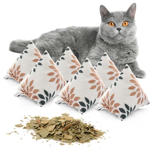 CanadianCat Company | Schmusekissen 6er Set Schmuse-Pyramide XL Punkte mit Katzenminze, Katzenkissen, interaktives Katzenspielzeug von CanadianCat Company