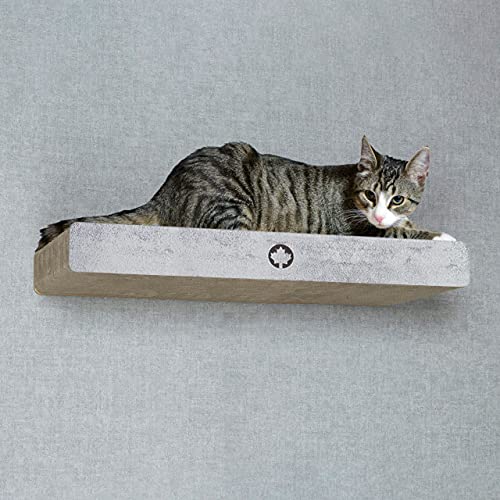 CanadianCat Company | ERSATZTEIL | Kratzpappe Cloud - C10135 | betonoptik | ca. 70 x 30 x 8 cm von CanadianCat Company