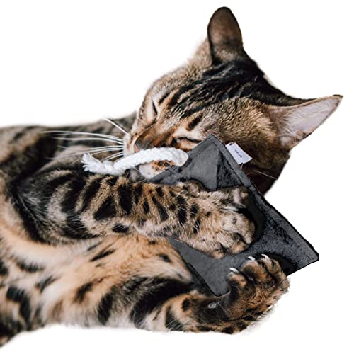 CanadianCat Company | nachhaltiges Katzenspielzeug Schmusekissen mit Seil mit 5g Baldrian Premium Füllung | Faire Handarbeit für Deine Katze | Knuddelkissen für Katzen CanadianCat Company | nachhaltiges Katzenspielzeug Schmusekissen mit Seil mit 5g Baldrian Premium Füllung | Faire Handarbeit für Deine Katze | Knuddelkissen für Katzen von CanadianCat Company