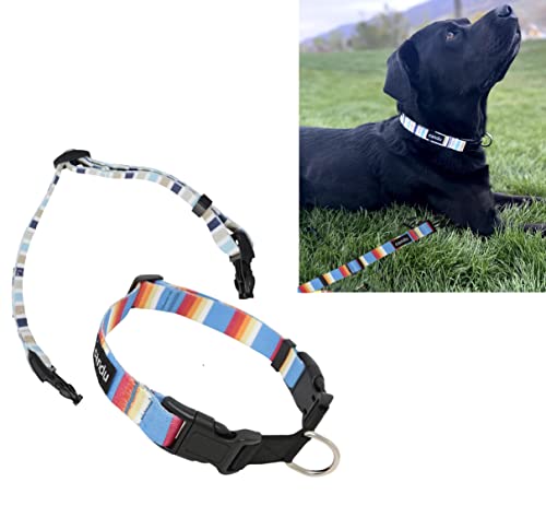 CANDU 2-in-1 austauschbares Hundehalsband – Schnellverschluss-Schnallen, Schalter-Designs, austauschbare Farben für Anlässe, verstellbare Größe, für kleine, mittelgroße oder große Haustiere, von Candu