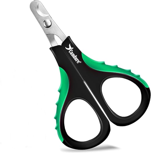 Candure Katzennagelknipser Für Haustiere Fachmann Klauenpflege Katzennagelschere Für Hunde, Kaninchen, Welpe, Ratten- Rostfreier Stahl Klauenschneider Mit Schärfsten Klingen Candure Katzennagelknipser Für Haustiere Fachmann Klauenpflege Katzennagelschere Für Hunde, Kaninchen, Welpe, Ratten- Rostfreier Stahl Klauenschneider Mit Schärfsten Klingen von Candure