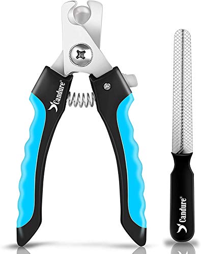 Candure Profi Krallenschere für Hunde und Katzen mit Nagelfeile Edelstahl Krallenzange Hohe Qualität Krallenpflege Schneider für Haustiere Nagelknipser groß Mit Sicherheitsschutz 6" Zoll Candure Profi Krallenschere für Hunde und Katzen mit Nagelfeile Edelstahl Krallenzange Hohe Qualität Krallenpflege Schneider für Haustiere Nagelknipser groß Mit Sicherheitsschutz 6" Zoll von Candure