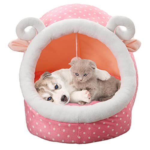 Katzenversteck – geräumige Katzenhöhlen für Indoor-Katzen, präzises Nähen, Katzenbett für Indoor-Katzen, arktischer Samt, weich, warm, Katzenbetten und Möbel für Balkone, Korridore, Badezimmer Caneem Katzenversteck – geräumige Katzenhöhlen für Indoor-Katzen, präzises Nähen, Katzenbett für Indoor-Katzen, arktischer Samt, weich, warm, Katzenbetten und Möbel für Balkone, Korridore, Badezimmer Caneem von Caneem
