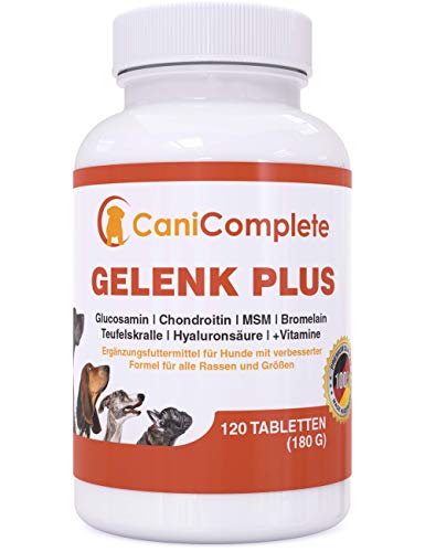 CaniComplete Gelenk Plus - Gelenktabletten für Hunde: Teufelskralle, MSM, Chondroitin, Glucosamin, Kollagen, Vitamin B, uvm. 120 Stück von CaniComplete