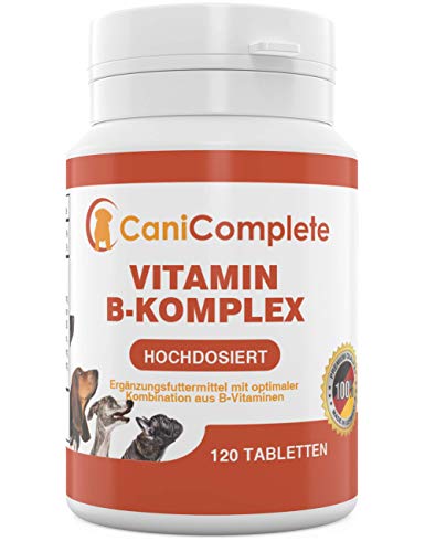 CaniComplete Vitamin B Komplex Hochdosiert Für Hunde, Katzen - Optimale Kombination Aus B1, B2, B3, B5, B6, B9, B12- Multivitamin Zur Stärkung des Immunsystems von CaniComplete