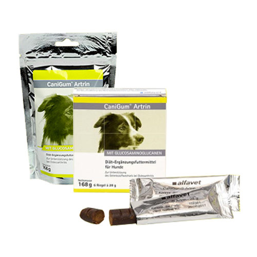 CaniGum Artrin - 6 x 28 g von CaniGum