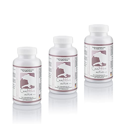 CaniMove Active mini (300 Tabletten für kleine Hunde) mit 10 Heilkräuter-Extrakten für Bewegungsfreude und Tierwohl (300 Tabletten) von CaniMove