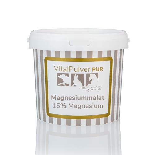 Für Dein Tier VitalPulver Pur | Magnesiummalat (1 x 2,5 kg) | Ergänzung der Fütterung für Hunde, Katzen und Pferde | Organisches Magnesium mit Apfelsäure | Unterstützt Leistungsfähigkeit und Vitalität von CaniMove