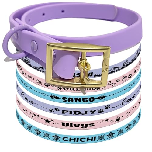 Canicaprice Halsband für Hunde und Katzen, personalisierbar, mit Namen (L, Violett) von Canicaprice