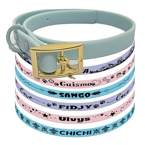 Canicaprice Halsband für Hunde und Katzen, personalisierbar, mit Namen (L, hellblau) von Canicaprice