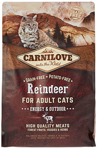 Carnilove 512256 Trockenfutter für Katzen Erwachsene Reno 2 kg Trockenfutter für Katzen (Adulto, Reno, 2 kg, Allrad) von CARNILOVE