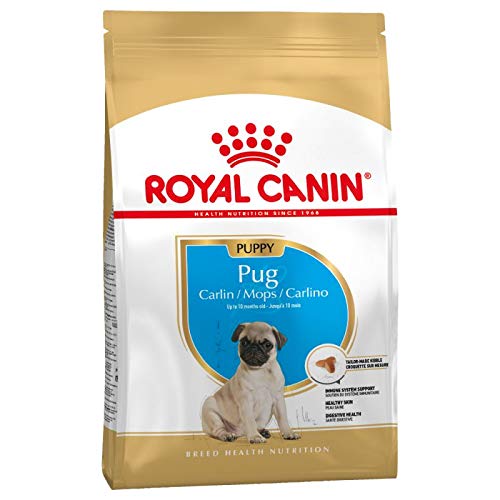 Canin Royal Pug Puppy Trockenfutter für Welpen, bis zu 10 Monate, 3 x 1,5 kg, speziell für trockene Haut und Fell, Gesundheit, Verdauung und Immunsystem, mit verdaulichen Proteinen von Canin