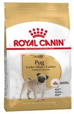 Canin Royal Pug Trockenfutter für Erwachsene, 3 kg, Rassen-spezifisches Trockenfutter, 10 Monate, leicht zu kauen, enthält Fisch und Borretschöl, unterstützt die natürliche Barriere der Haut, mit von RC Feline Nutrition