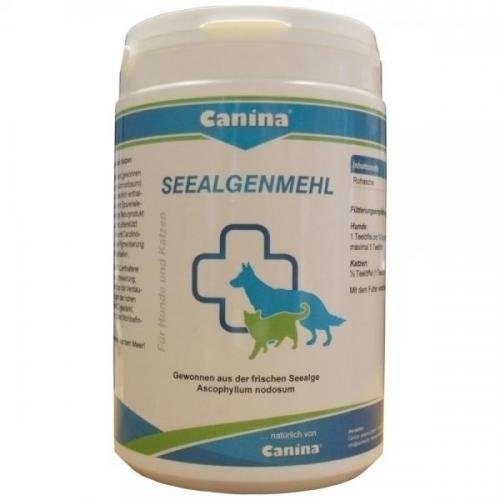 Canina Pharma Seealgenmehl 750 g, Hundepflege, Tierpflege Canina Pharma Seealgenmehl 750 g, Hundepflege, Tierpflege von Canina