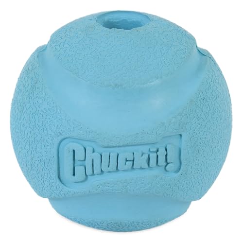 Chuckit! CH190402 Fetch Ball Medium 1-er Pack Chuckit! CH190402 Fetch Ball Medium 1-er Pack von Chuckit!