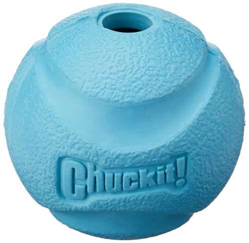 Chuckit! CH19600 Fetch Ball Large 1-er Pack Chuckit! CH19600 Fetch Ball Large 1-er Pack von Chuckit!
