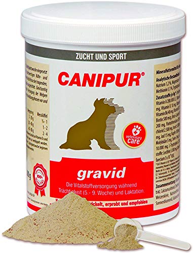 Vetripharm Canipur gravid 500 g Dose von Canipur