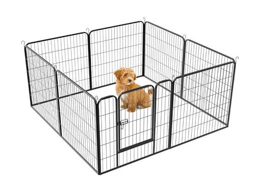 Cannoli Laufgehege, modular, Stahl, Laufgitter für Hunde, innen und außen, Zaun, Gehege, Käfig, für Innenbereich, Hunde, Kaninchen, Nagetiere, Kleintiere (80 x 60 cm, 8 Stück) von Cannoli