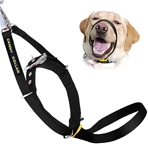 Canny Collar Halsband für Hunde, einfache und effektive Hilfe beim Hundetraining, Kopfgeschirr verhindert das Ziehen von Hunden von Canny