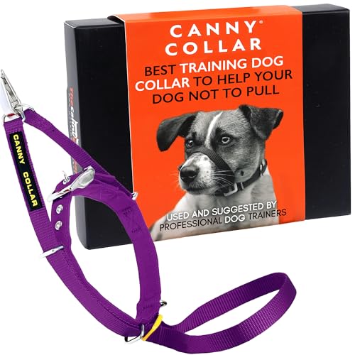 Canny Collar Halsband für Hunde, einfache und effektive Hilfe beim Hundetraining und verhindert das Ziehen von Hunden - Lila von Canny