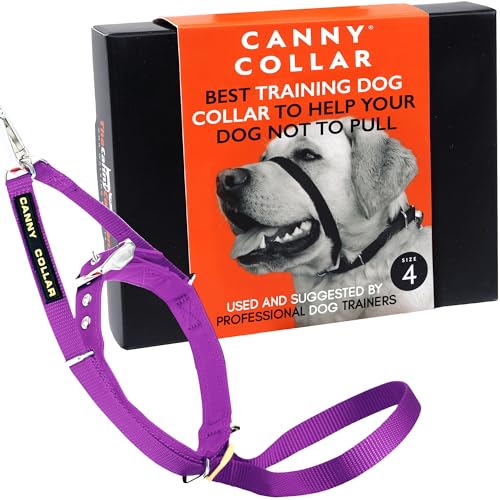 Canny Collar Halsband für Hunde, einfache und effektive Hilfe beim Hundetraining und verhindert das Ziehen von Hunden - Lila von Canny