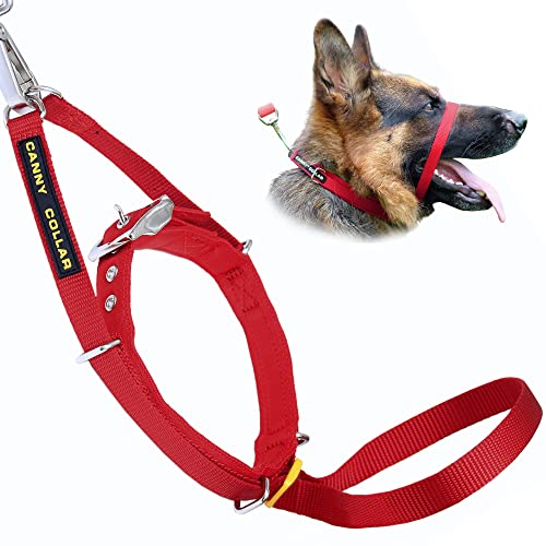 Canny Collar Halsband für Hunde, einfache und effektive Hilfe beim Hundetraining und verhindert das Ziehen von Hunden - Rot von Canny