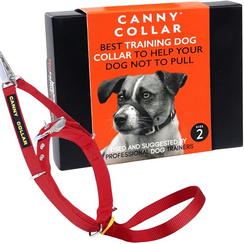 Canny Collar Hundehalfter | Anti-Zug-Halsband für kleine Hunde | Verhindert, DASS Ihr Hund an der Leine zieht | Kopfgeschirr Mit Gepolstertem Halsband | Rot - Größe 2 von Canny