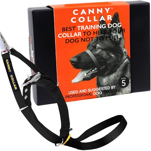 Canny Halsband, 43-48 cm von Canny