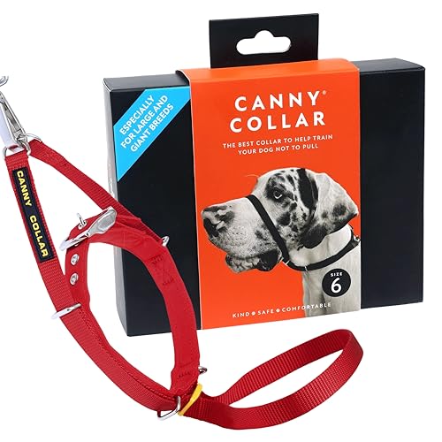 Canny Collar Hundehalfter – Anti-Zug Kopfgeschirr für Hunde | Stoppt Ziehen an der Leine sanft & effektiv | Trainingshilfe für entspannte Spaziergänge – Größe 6, Rot von Canny