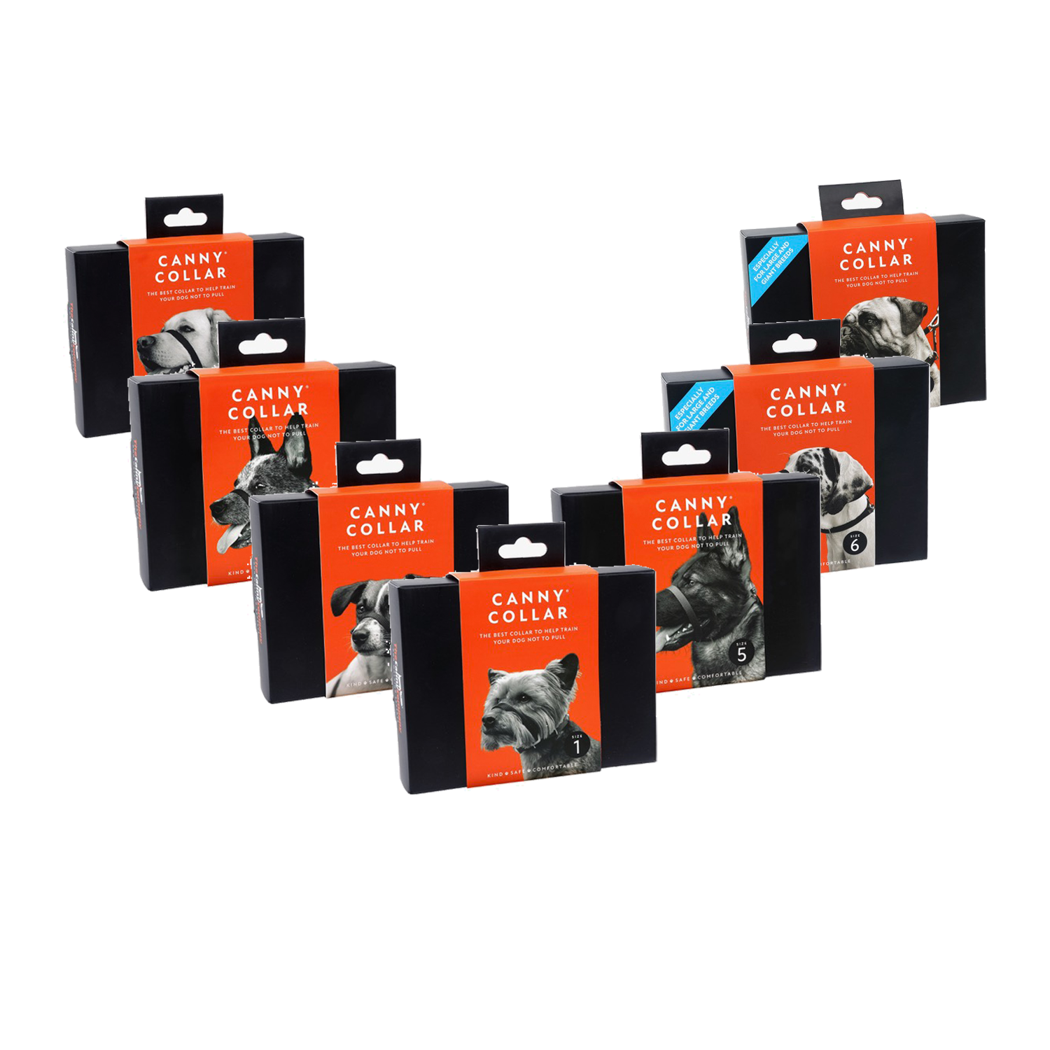 Canny Collar - Schwarz - Nummer 6 - 48 - 53 cm Canny Collar - Schwarz - Nummer 6 - 48 - 53 cm von Canny