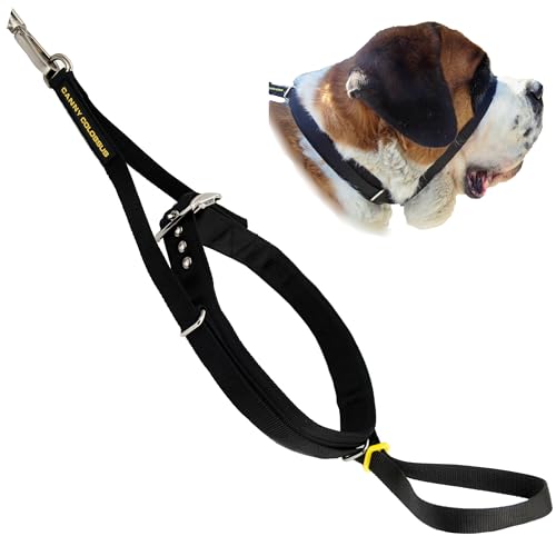 Canny Halsband – The Canny Colossus Hundehalsband für große Hunderassen, einfache und effektive Hilfe beim Hundetraining, damit Ihr großer Hund Nicht an der Leine zieht, schwarz von Canny