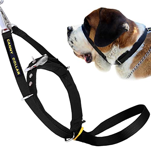 Canny Halsband – The Canny Colossus Hundehalsband für große Hunderassen, einfache und effektive Hilfe beim Hundetraining, damit Ihr großer Hund Nicht an der Leine zieht, schwarz von Canny