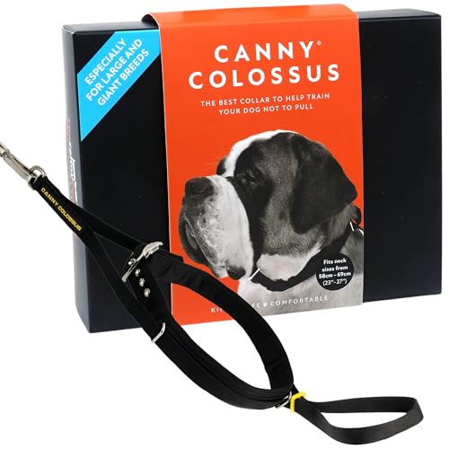 Canny Colossus Hundehalfter | Anti-Zug-Halsband für Hunde großer Rassen | Verhindert, DASS Ihr Hund an der Leine zieht | Kopfgeschirr Mit Gepolstertem Halsband | Schwarz von Canny