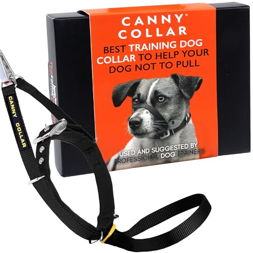 Canny Collar Halsband für Hunde, einfache und effektive Hilfe beim Hundetraining und verhindert das Ziehen von Hunden - Schwarz von Canny