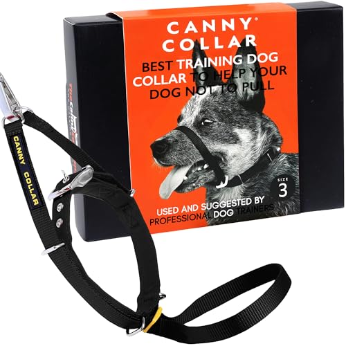 Canny Collar Halsband für Hunde, einfache und effektive Hilfe beim Hundetraining und verhindert das Ziehen von Hunden - Schwarz von Canny