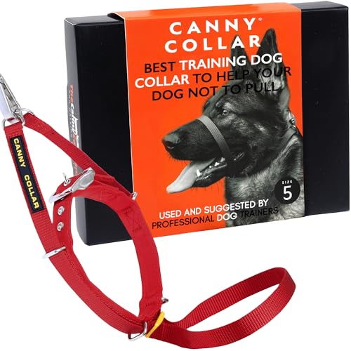 Canny Dog Collar Red Größe 5 von Canny