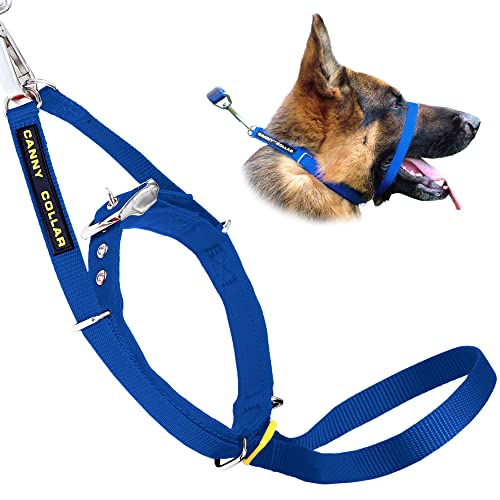 Canny Halsband Blue Gr��e 3 Dog Head Halsband stoppt ziehen Training von Canny