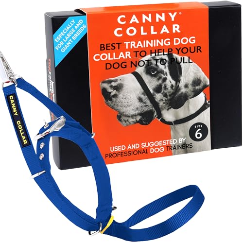 Canny Halsband Blue Gr��e 6 Dog Head Halsband stoppt ziehen Training von Canny