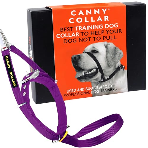 Canny Collar Hundehalfter | Anti-Zug-Halsband für große Hunde | Verhindert, DASS Ihr Hund an der Leine zieht | Kopfgeschirr Mit Gepolstertem Halsband | Lila - Größe 5 von Canny