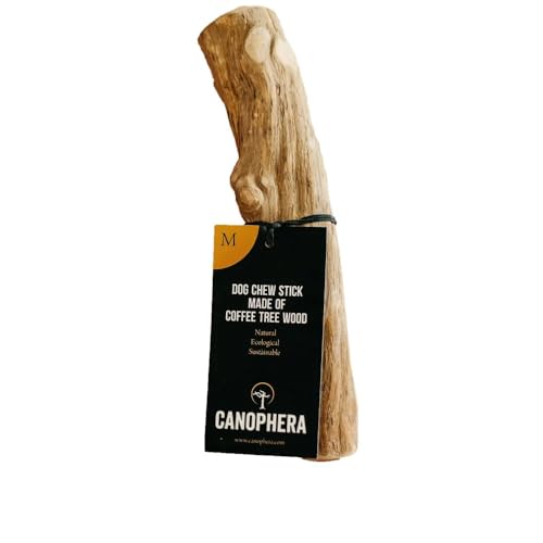 Canophera Original Kaffeeholz Hundekaustab | Natürliches und splitterarmes Hundespielzeug zur Zahnpflege | Nachhaltig, Pflanzlich & Koffeinfrei | Kauholz für Hunde in verschiedenen Größen (M) von Canophera
