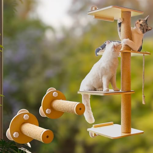 Katzen-Fensterstange und Katzenwandregale, 2-in-1-Kratzbaum, Wandmontage, Katzenkratzbaum für Katzen, Kätzchen mit Katzenbett von Canormpet