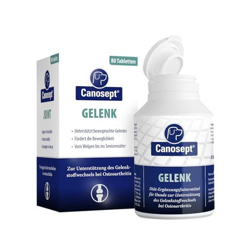 Canosept Gelenktabletten Hund - Einzigartige Rezeptur: Mit Grünlippmuschel Hund, Glucosamin, Omega 3 Hund - Gelenk- & Knochenschutz für Hunde - Hervorragende Akzeptanz - Arthrose Hund - 80 Tabletten von Canosept