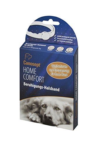 Canosept Home Comfort Beruhigungshalsband - Hundehalsband mit Baldrian & Lavendel fördert Wohlbefinden & Entspannung bei Hunden von Canosept