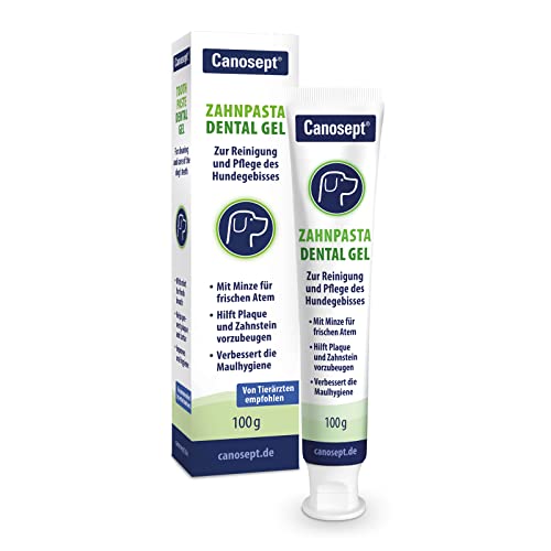 Canosept Hundezahnpasta Dental Gel 100g - Zahnpasta für Hunde - Zahnpasta Hund - Hunde Zahncreme - Zahnpflege Hund - bei Mundgeruch Hund - Zahnpasta Hund – Hundezahnpasta gegen Zahnstein Canosept Hundezahnpasta Dental Gel 100g - Zahnpasta für Hunde - Zahnpasta Hund - Hunde Zahncreme - Zahnpflege Hund - bei Mundgeruch Hund - Zahnpasta Hund – Hundezahnpasta gegen Zahnstein von Canosept