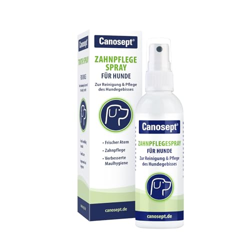 Canosept Zahnpflegespray für Hunde 100ml - Zahnsteinentferner Hund - Dentalspray für Hunde Zahnstein - gegen Mundgeruch Hund - Zahnreinigung Hund - Effektive Zahnpflege Hund - Hund Zahnstein Spray von Canosept