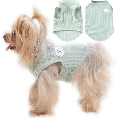 Gemütliche und funktionelle Hunde-Shirts für kleine Welpen: dehnbare rosa Kleidung mit einfachem Design, ideal für Chihuahuas und Yorkies – verbessert Komfort und Verspieltheit an kühlen Tagen, Größe Gemütliche und funktionelle Hunde-Shirts für kleine Welpen: dehnbare rosa Kleidung mit einfachem Design, ideal für Chihuahuas und Yorkies – verbessert Komfort und Verspieltheit an kühlen Tagen, Größe von Cantuccistudio