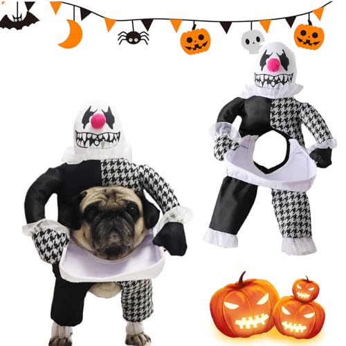 Canzoon Haustierkostüm Hund Haustier Halloween Kostüme Cosplay für Hunde Lustiges Hundekostüm für Kleine Mittlere Hunde Katzen von Canzoon