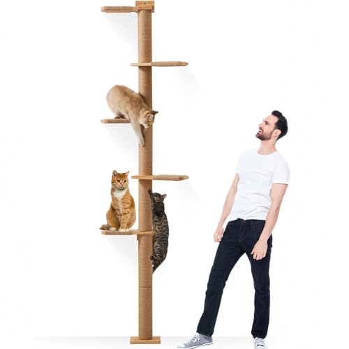 Caossuixin 5 Etagen Kratzbaum für Katzen, Wandmontierter Katzenbaum(206 cm), Katzenkratzbaum aus Natürlichem Massivem Gummibaumholz für Katzen zum Klettern, Kratzen, Ausschau Halten und Spielen von Caossuixin