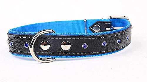 Capadi K0093 Hundehalsband verziert mit farbigen Chrystalsteinen weich unterlegt und Starkes Halsband aus Echtleder, Blau, Breite 16 mm, Länge 41 cm von Capadi