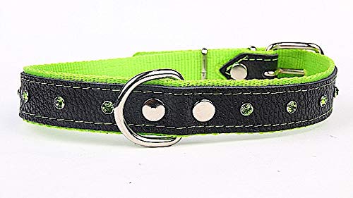 Capadi K0125 Hundehalsband verziert mit farbigen Chrystalsteinen weich unterlegt und Starkes Halsband aus Echtleder, Grün, Breite 30 mm, Länge 60 cm von Capadi